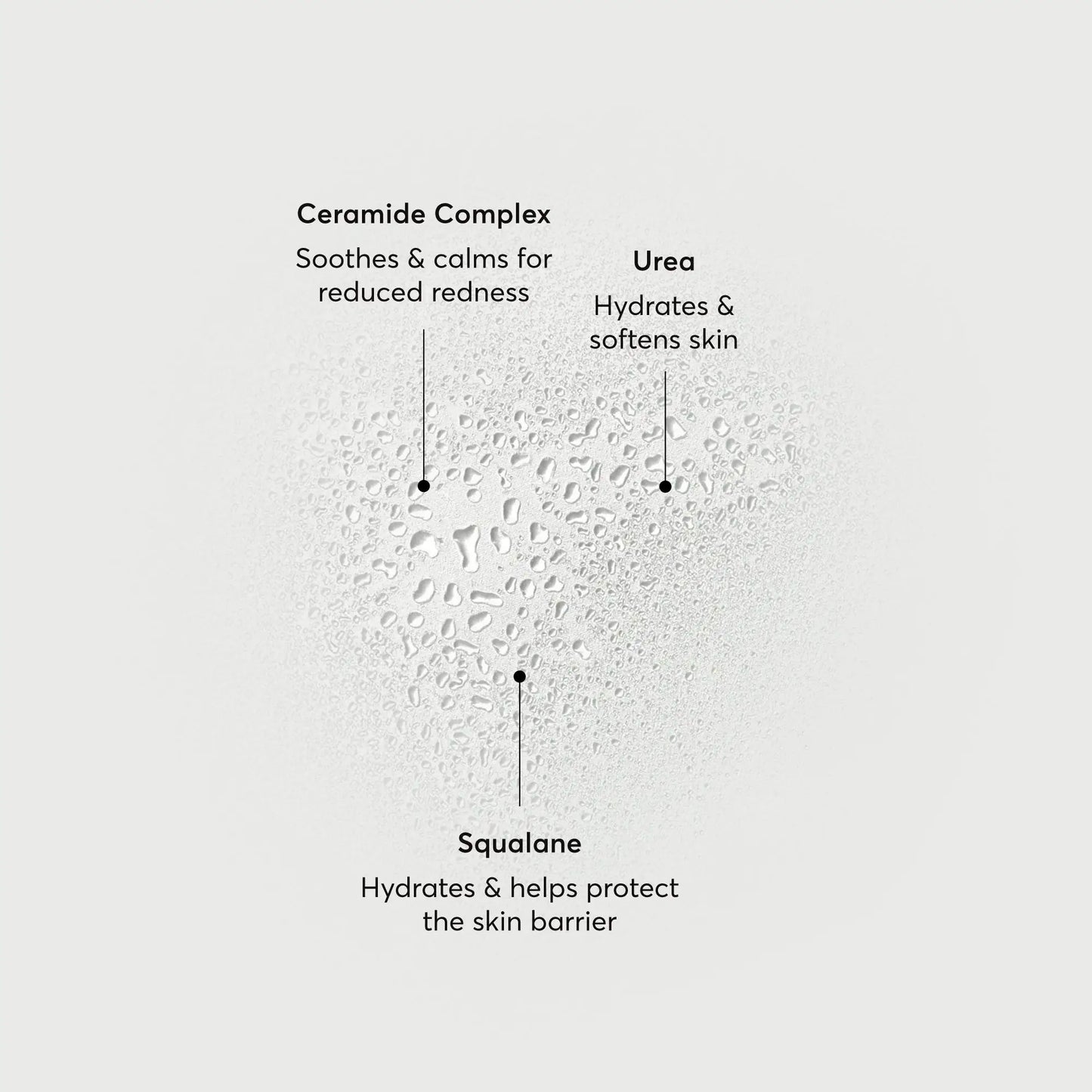 barrier-bounce-bi-phase-mist-u1 NATR-10167-Alt-Images-Barrier-Bounce-Bi-Phase-Toner-Mist_01.webp