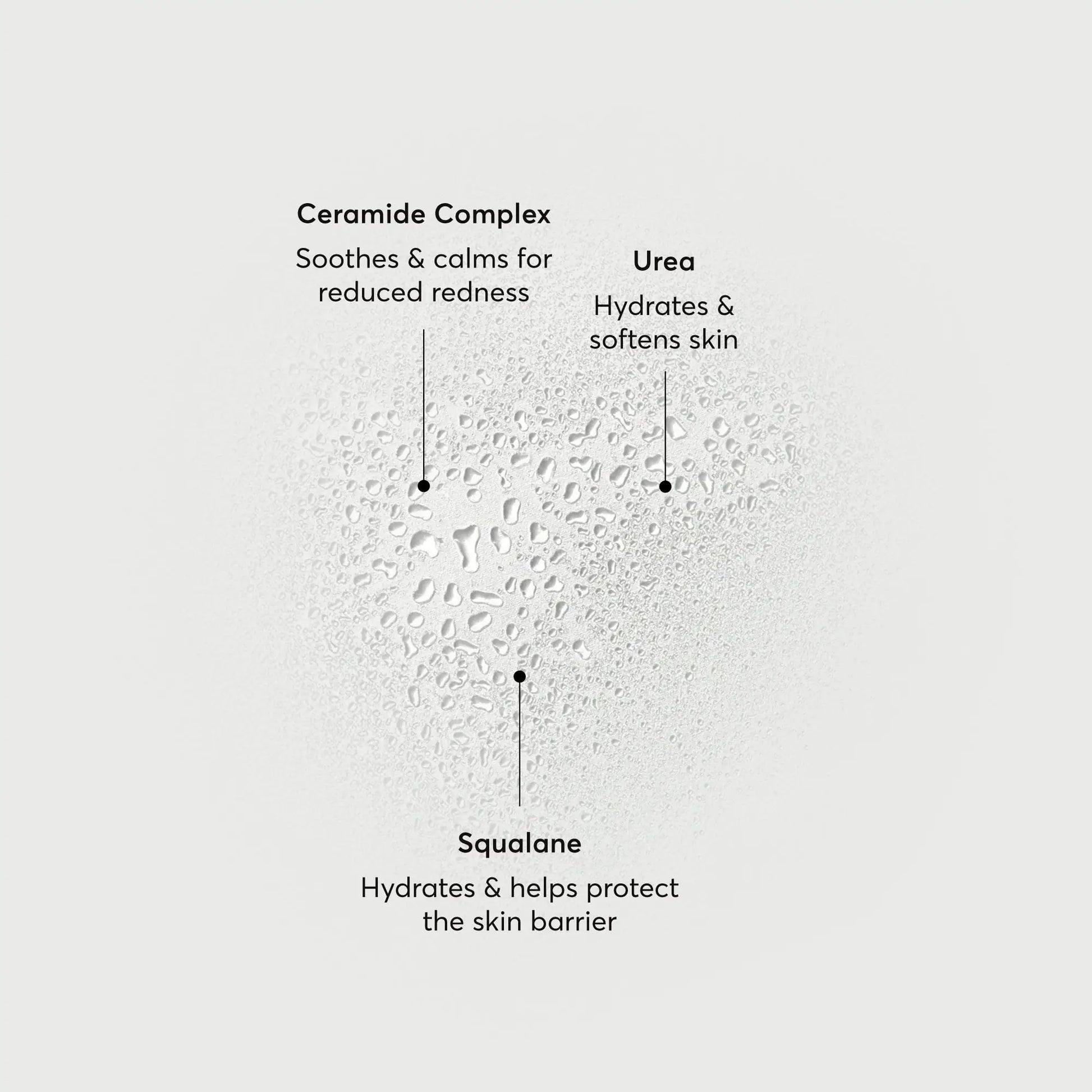 barrier-bounce-bi-phase-mist-u1 NATR-10167-Alt-Images-Barrier-Bounce-Bi-Phase-Toner-Mist_01.webp